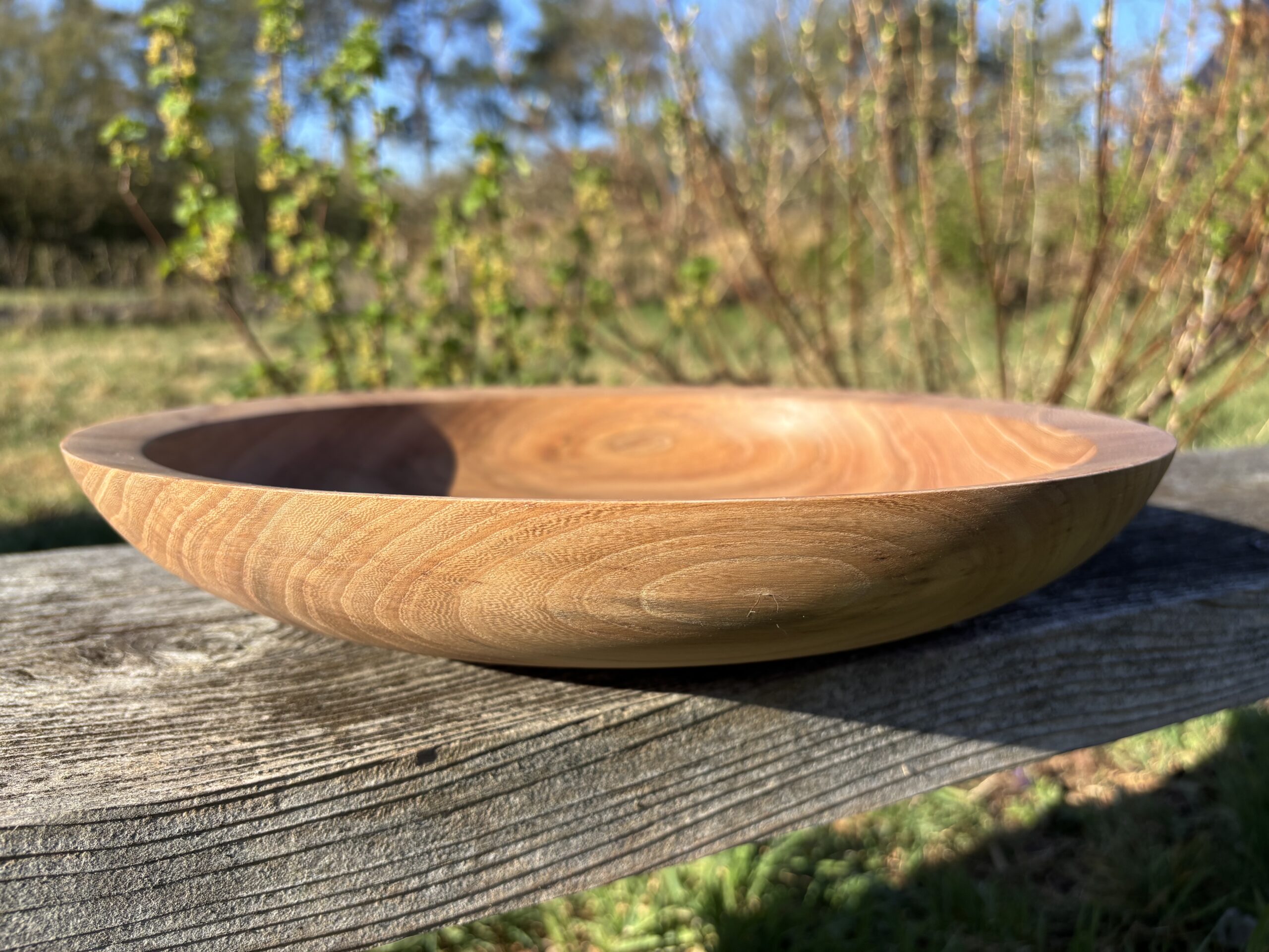 Schaal van Iepenhout