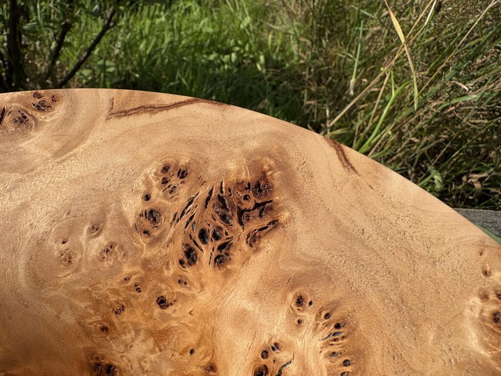 Detail Mappa burl schaal. Afgewerkt met Borma Hardtop Polish in spuitbus. Diameter 26cm, hoogte: 9cm.
